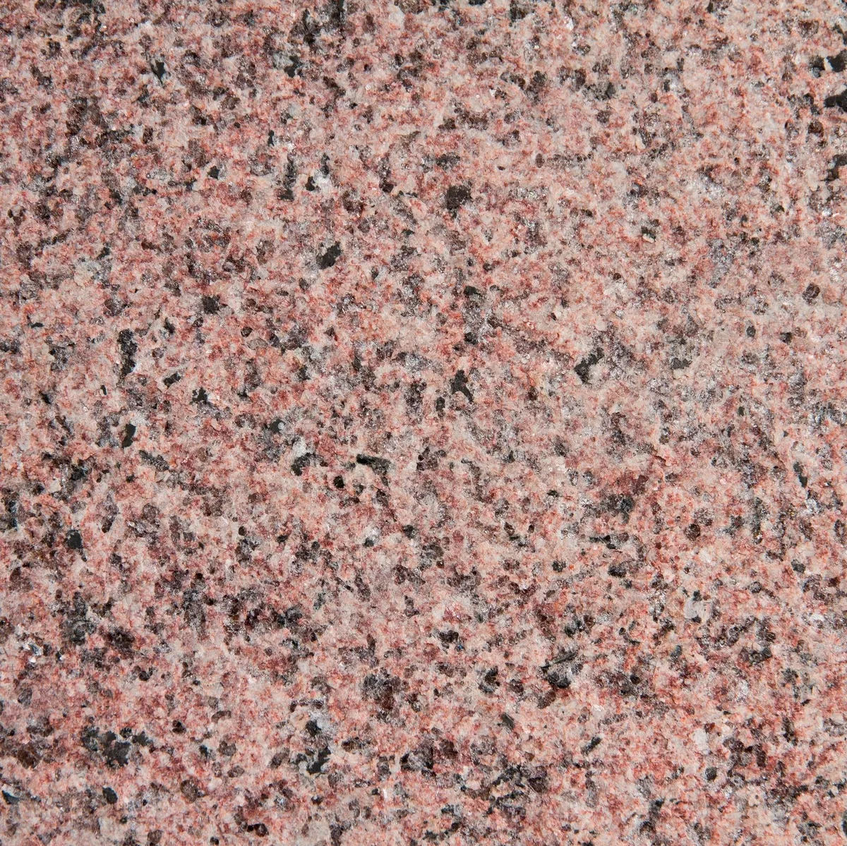 Rosa Forte granite, medium grain
